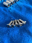 Kit Parafuso Disco De Freio Cromado CG 150/160